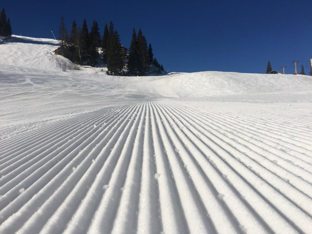 Apartmani Mont 1 Jahorina Eksteriør bilde